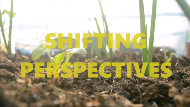 100468430_2648610415381914_5678380007253082112_n