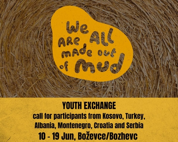 YOUTH EXCHANGE (1)