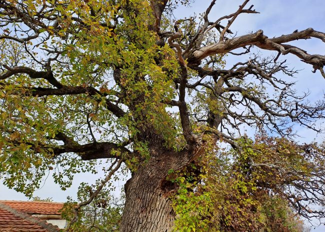 315888596_505287394979072_3076214892423207935_n